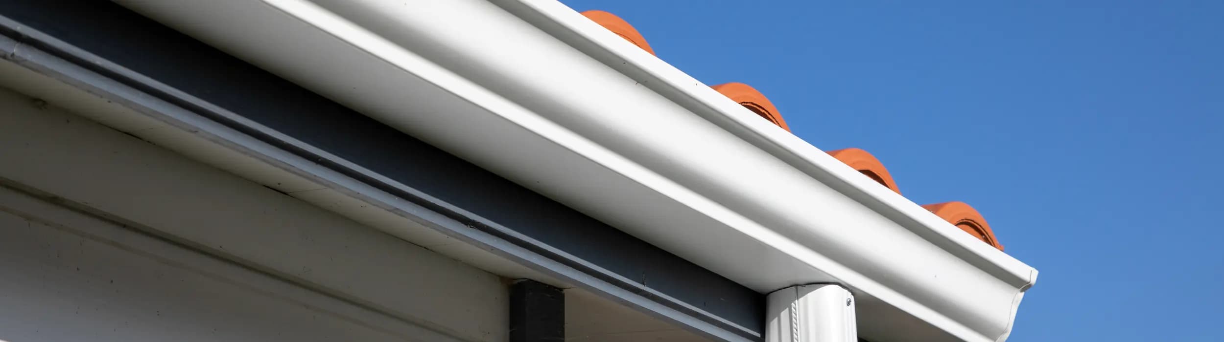 Professional gutter services in Gilbert, AZ